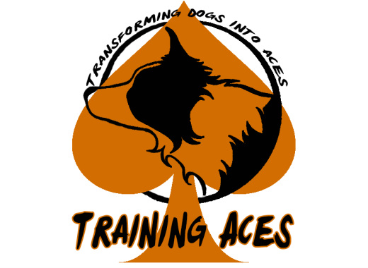 aces dog training